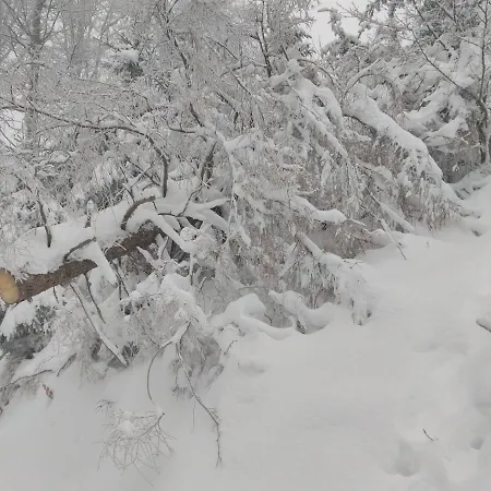 Grand Mobil 6 Personnes Climatise Avec 3 Et 2 Salles De Bains A En Alsace