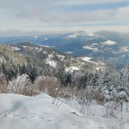 Alpesi faház Grand Mobil 6 Personnes Climatise Avec 3 Et 2 Salles De Bains A En Alsace *
