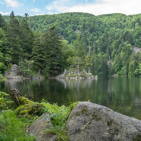 Grand Mobil 6 Personnes Climatise Avec 3 Et 2 Salles De Bains A En Alsace Horská chata Munster (Haut-Rhin)