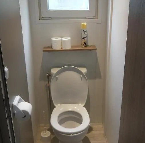 Chalet Grand Mobil 6 Personnes Climatise Avec 3 Et 2 Salles De Bains A En Alsace *