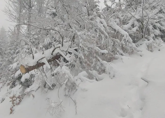 Grand Mobil 6 Personnes Climatise Avec 3 Et 2 Salles De Bains A En Alsace