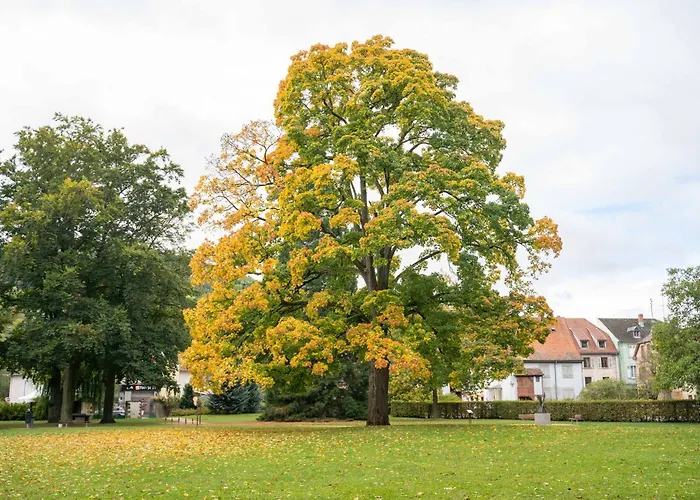 Grand Mobil 6 Personnes Climatise Avec 3 Et 2 Salles De Bains A En Alsace Munster (Haut-Rhin)