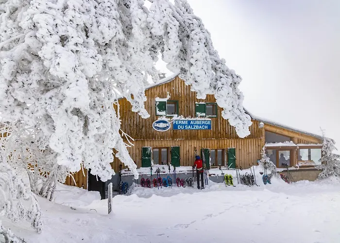 Grand Mobil 6 Personnes Climatise Avec 3 Et 2 Salles De Bains A En Alsace Chalet